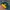 VINTAGE 90s GREEN BAY PACKERS NFL SNAPBACK HAT
 photo 7
