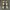 Adidas Adicross Lo. photo 6