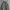 Wilsprit mountain parka outdoor jacket photo 2