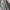 Wilsprit mountain parka outdoor jacket photo 7