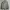 Wilsprit mountain parka outdoor jacket photo 10