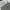 Baggycargo celana cargoarmy cargojeans baggy cargo army photo 6