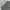 Baggycargo celana cargoarmy cargojeans baggy cargo army photo 7