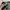 Baggycargo celana cargoarmy cargojeans baggy cargo army photo 8