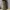 Baggycargo celana cargoarmy cargojeans baggy cargo army photo 3