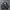 Mizuno Varsity Leather Baseball Jacket photo 1