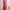 Starbucks Tumbler photo 1