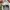 VANS SK8 LOW  photo 6