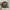 Realtree hat Justin Boots tag manufactures photo 2