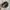 Realtree hat Justin Boots tag manufactures photo 6