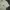 Boxy workshirt beige bufallo commons double pocket photo 2