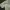 Boxy workshirt beige bufallo commons double pocket photo 5