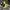 Nike Presto Kids  photo 1
