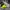 Nike Presto Kids  photo 2