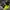 Nike Presto Kids  photo 3
