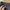 Bl fashion  Kemeja katun bertexture photo 3