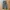 Uniqlo military outdoor nylon pants Ada side cargo pocket  photo 1