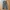 Uniqlo Military Outdoor Nylon Pants Ada Side Cargo Pocket 