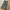 Uniqlo Military Outdoor Nylon Pants Ada Side Cargo Pocket 