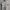 Casual Polo shirt Pria white photo 2