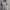 Casual Polo shirt Pria white photo 1