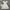 LAGENI FUSHI FLOWER LACE FAIRY SHORTS DRESS