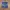 ELLE Sportswear Short Pria navy photo 1