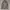Calvin Klein Green Tote bag AUTHENTIC photo 4