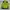 Millet Expert Series Wind Stopper Outdoor Jacket #SPJK47