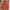Casual Casual trouser Wanita orange photo 3
