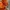 Casual Casual trouser Wanita orange photo 5