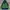trespass tres-tex gorpcore outdoor jacket #SPJK42 photo 1
