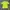 ADIDAS CLIMALITE JERSEY SPECIAL COLOUR