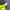 ADIDAS CLIMALITE JERSEY SPECIAL COLOUR photo 3