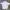ADIDAS RESPONSE JERSEY  photo 2