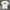 Stussy Signature Basic photo 1