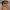 New Era Cap Mclaren essential orange F1 original, 9Forty photo 2