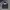 Adidas J STREETDIVER T Jacket (Grey) / Track Top