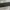 Anne klein snake skin leather belt photo 4