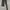 Y2K Snake skin chain leather belt photo 2