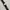 JAM GUESS RECTANGLE CLASSIC photo 4