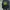 Vintage 2013 Lons Angeles Kurt Russell photo 1