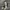 Japanese look chore jacket photo 2