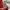 Jersey manchester united vintage 1994-1996 photo 7
