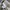 SWEATPANTS UNIQLO photo 7