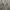 Dress Claryn Sage Green