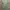 Dress Emily Sage Green