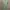Dress emily sage green photo 2