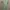 Dress Emily Sage Green