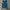 Tank Top Crop Electric Blue (No Brand) photo 1